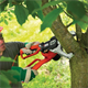 Hochentaster BlackDecker GK1000