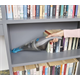 Akku-Staubsauger BlackDecker NVC215WA