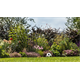 Tauchpumpe Bosch GardenPump 18V-2000