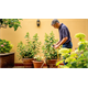 Tauchpumpe Bosch GardenPump 18V-2000