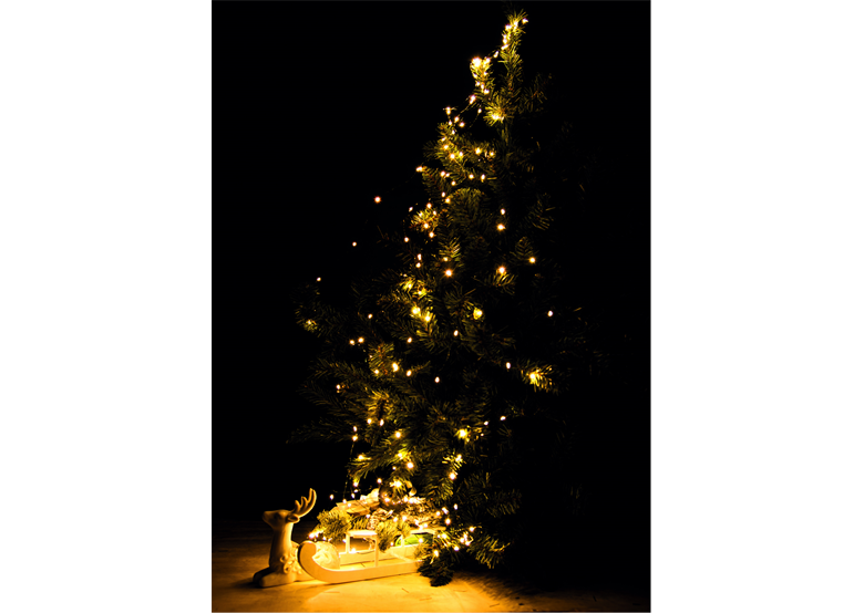 LED-Weihnachtsbeleuchtung Bulinex 10-068