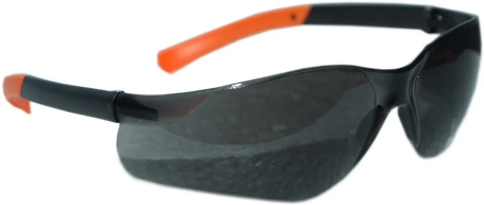 Verdunkelte Schutzbrille Dedra BH1052
