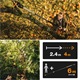 Teleskop-Schneidgiraffe Fiskars PowerGear X UPX86