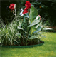 Raseneinfassung 9 cm/9 m Gardena 00536-20