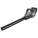 Laubbläser Graphite Energy+ 58G044