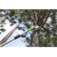 Teleskop Hochentaster Greenworks G40PSF