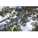 Teleskop Hochentaster Greenworks G40PSF