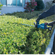 Heckenschere Makita DUH751Z