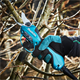Akku-Astschere Makita DUP362Z