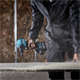 Akku-Gebläse Makita XGT AS001GZ