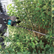 Heckenschere Makita XGT UH004GZ