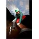 Tauchpumpe Metabo PS 18000 SN