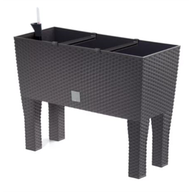 Blumentopf Rato case high umbra Prosperplast DRTC600H-440U