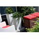 Blumentopf RATO SQUARE - Anthrazit Prosperplast DRTS300-S433