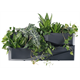 Vertikaler Garten 3 SET - anthrazit Prosperplast IO3W800-S433