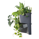Vertikaler Garten 3 SET - anthrazit Prosperplast IO3W800-S433