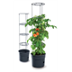 Blumentopf 12l Prosperplast TOMATO GROWER antracyt