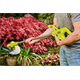 Akku-Rasentrimmer Ryobi ONE+ RY18LT23A-0