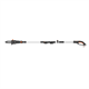 Teleskop Hochentaster Worx WG349E.9